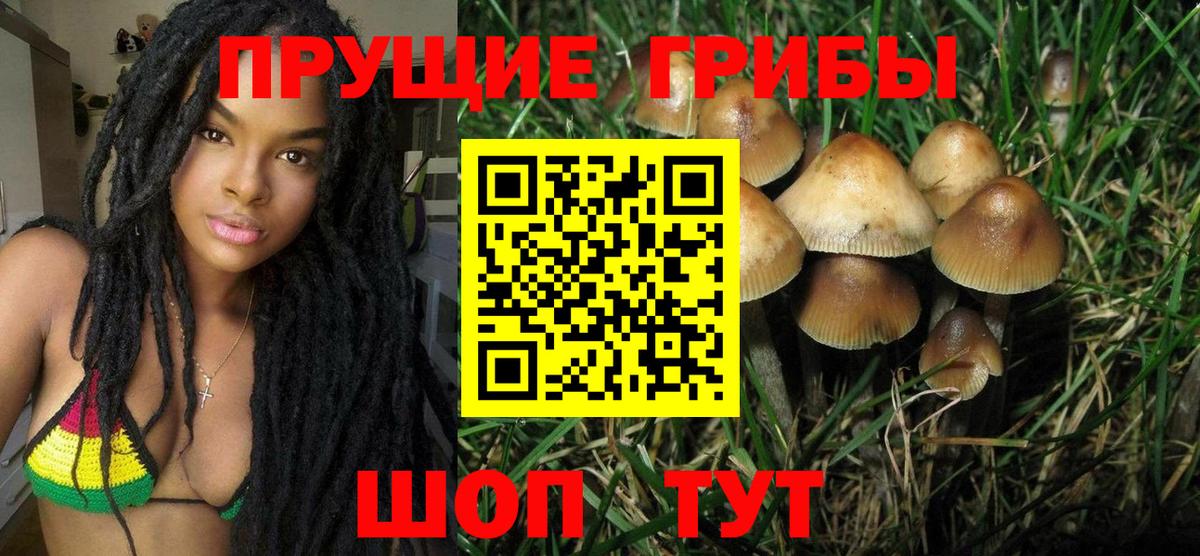 Галлюциногенные грибы мухоморы  цены   Томск  Вход с VPN 